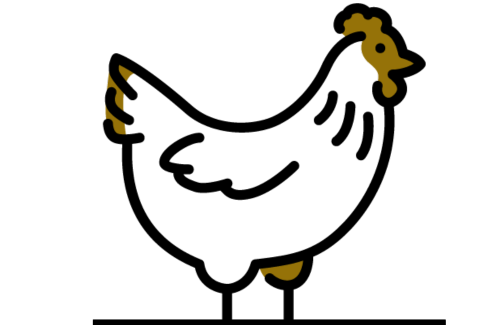 Carne de Frango